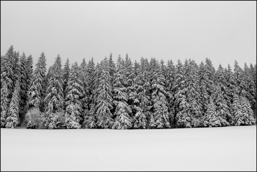 "winterliche Stille"