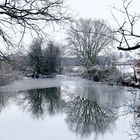 Winterliche Stille am Ausee