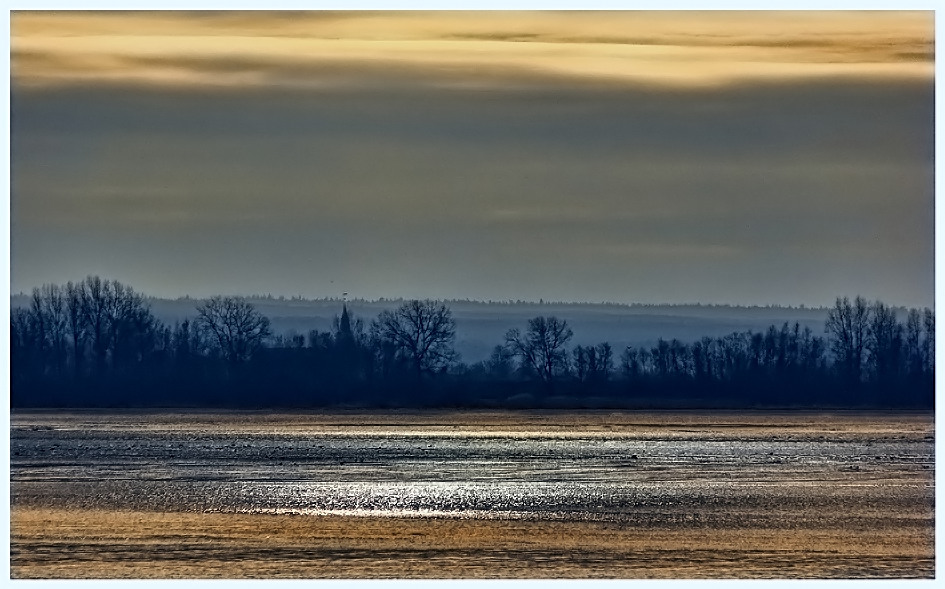 Winterliche Stille an der Elbe bei Hamburg (Taschenknipse: Sony CyberShot H20)