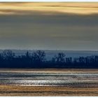 Winterliche Stille an der Elbe bei Hamburg (Taschenknipse: Sony CyberShot H20)