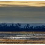 Winterliche Stille an der Elbe bei Hamburg (Taschenknipse: Sony CyberShot H20)