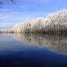 Winterliche Stille an der Saale in Bernburg