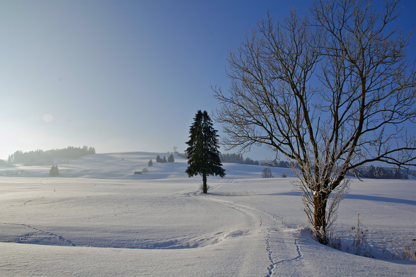 Winterliche Stille