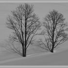 winterliche Stille