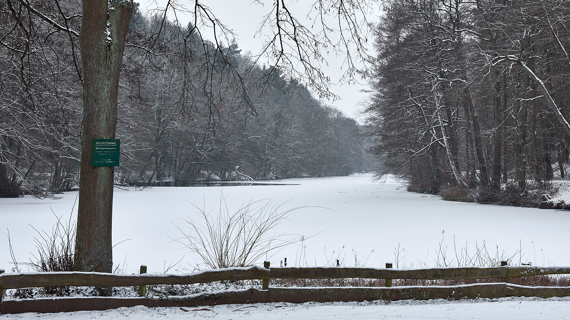 Winterliche Stille heute morgen am Blechhammerweiher... 