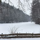 Winterliche Stille heute morgen am Blechhammerweiher... 