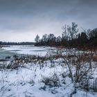 Winterliche Stille im Moor