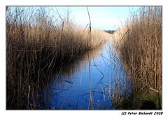 Winterliche Stimmung am Darßer Ort