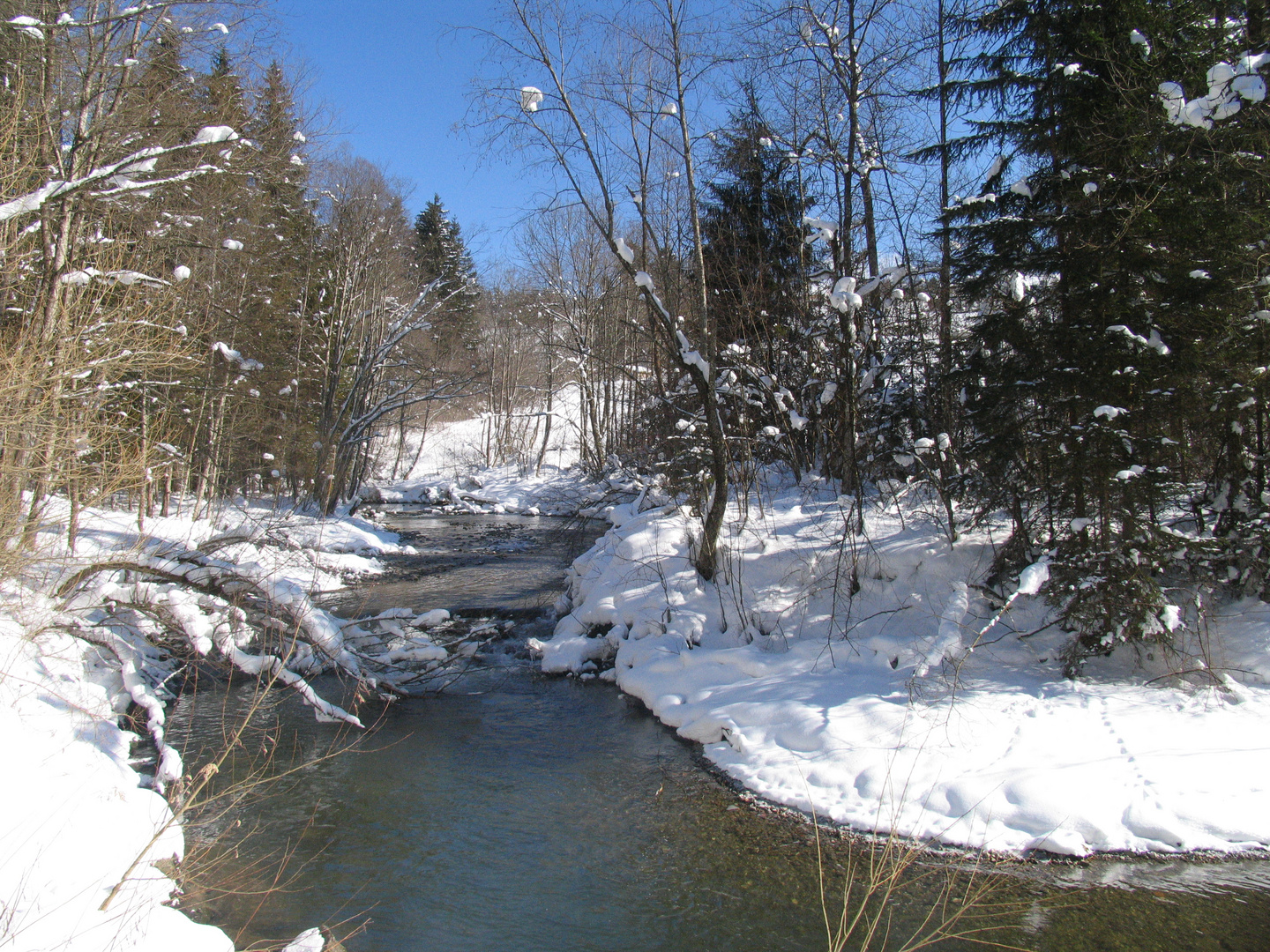 Winterliche Stimmung am Fluß