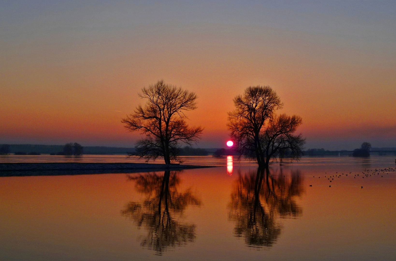 winterliche Stimmung an der Elbe