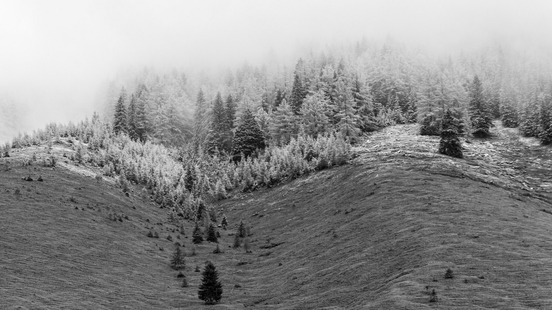 winterliche Stimmung Anfang Mai