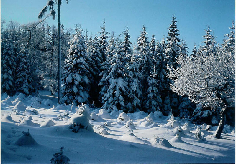 winterliche Stimmung bei Sandplacken