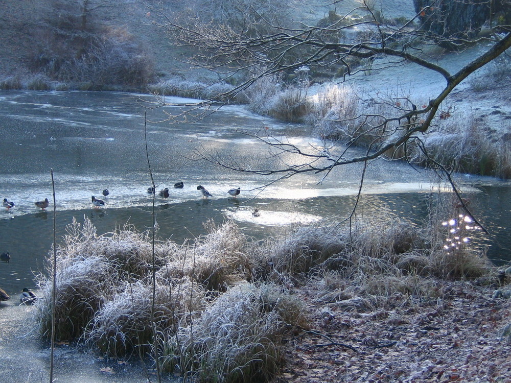 Winterliche Stimmung