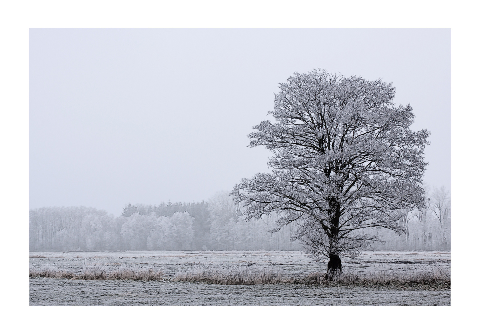 Winterliche Stimmung