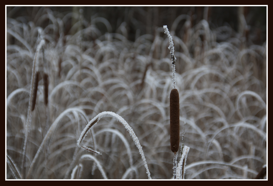 Winterliche Stimmung im November