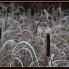 Winterliche Stimmung im November