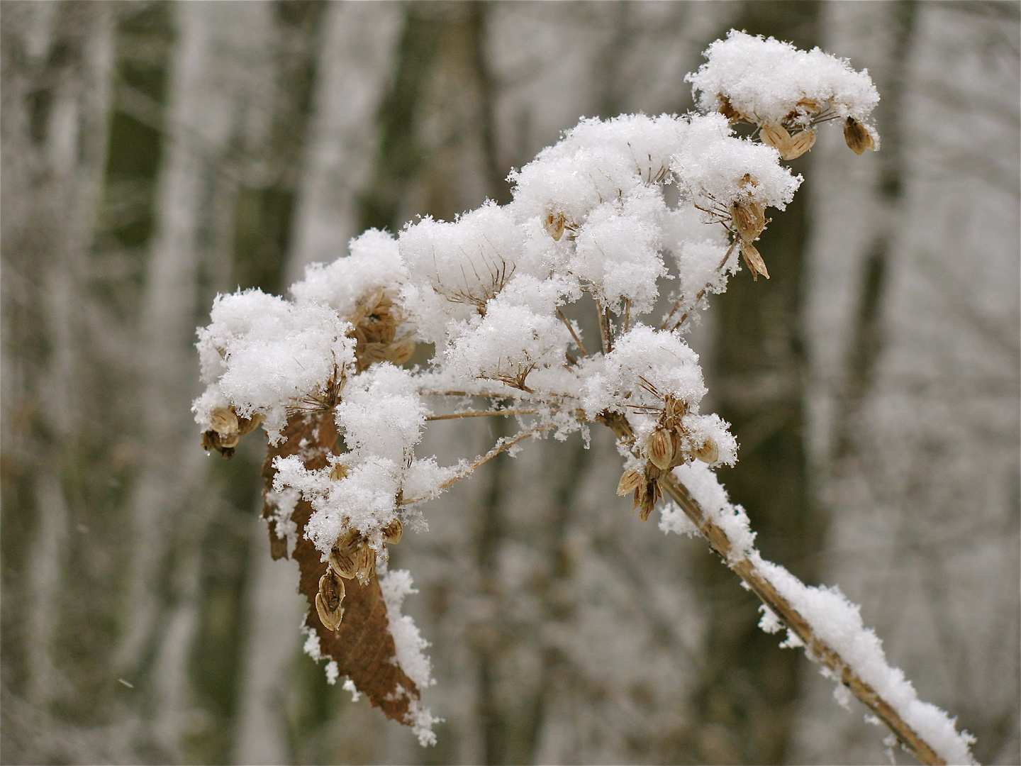 ...WINTERLICHE STIPPVISITE 2 !!!...