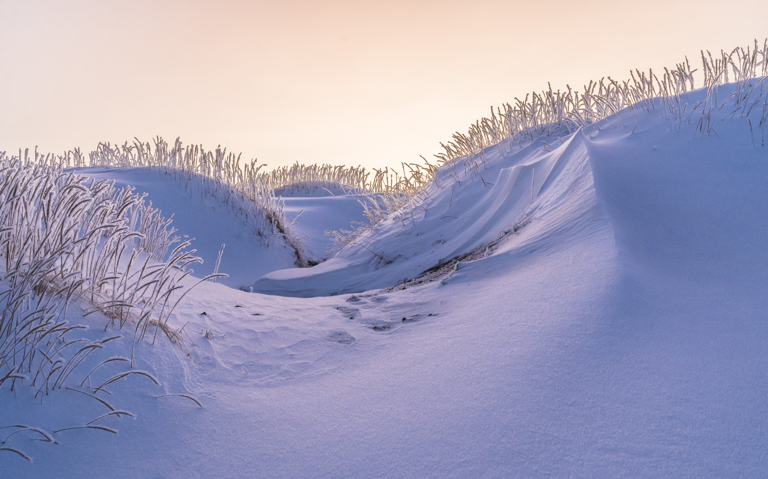 Winterliche Stranddünen