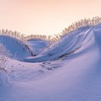 Winterliche Stranddünen