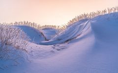 Winterliche Stranddünen