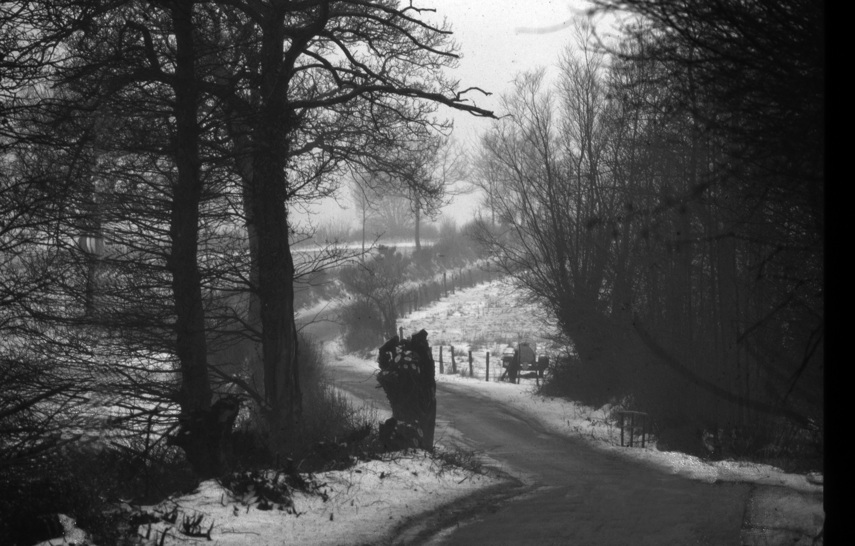 Winterliche Straße im Wald sw