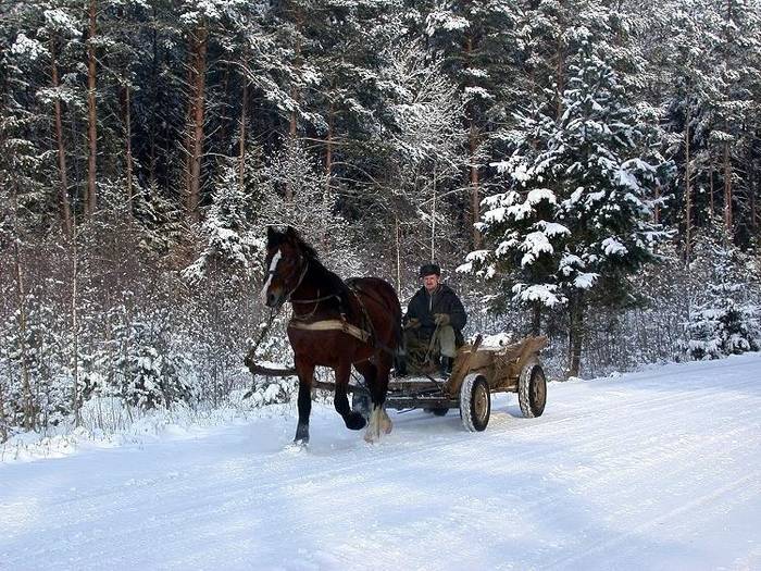 Winterliche Straße in Litauen