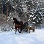 Winterliche Straße in Litauen