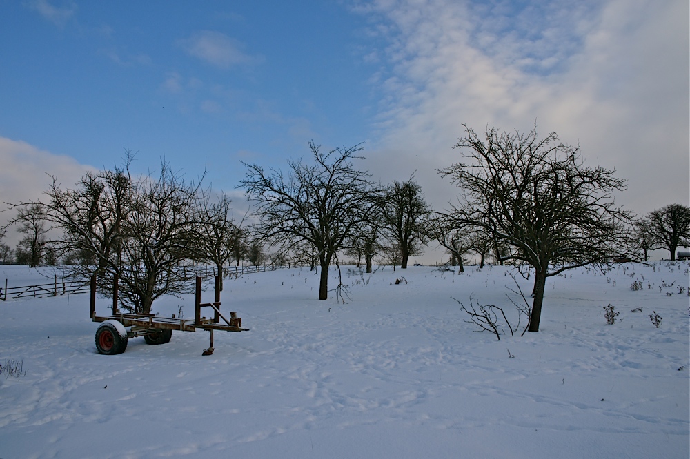 Winterliche Streuobstwiese