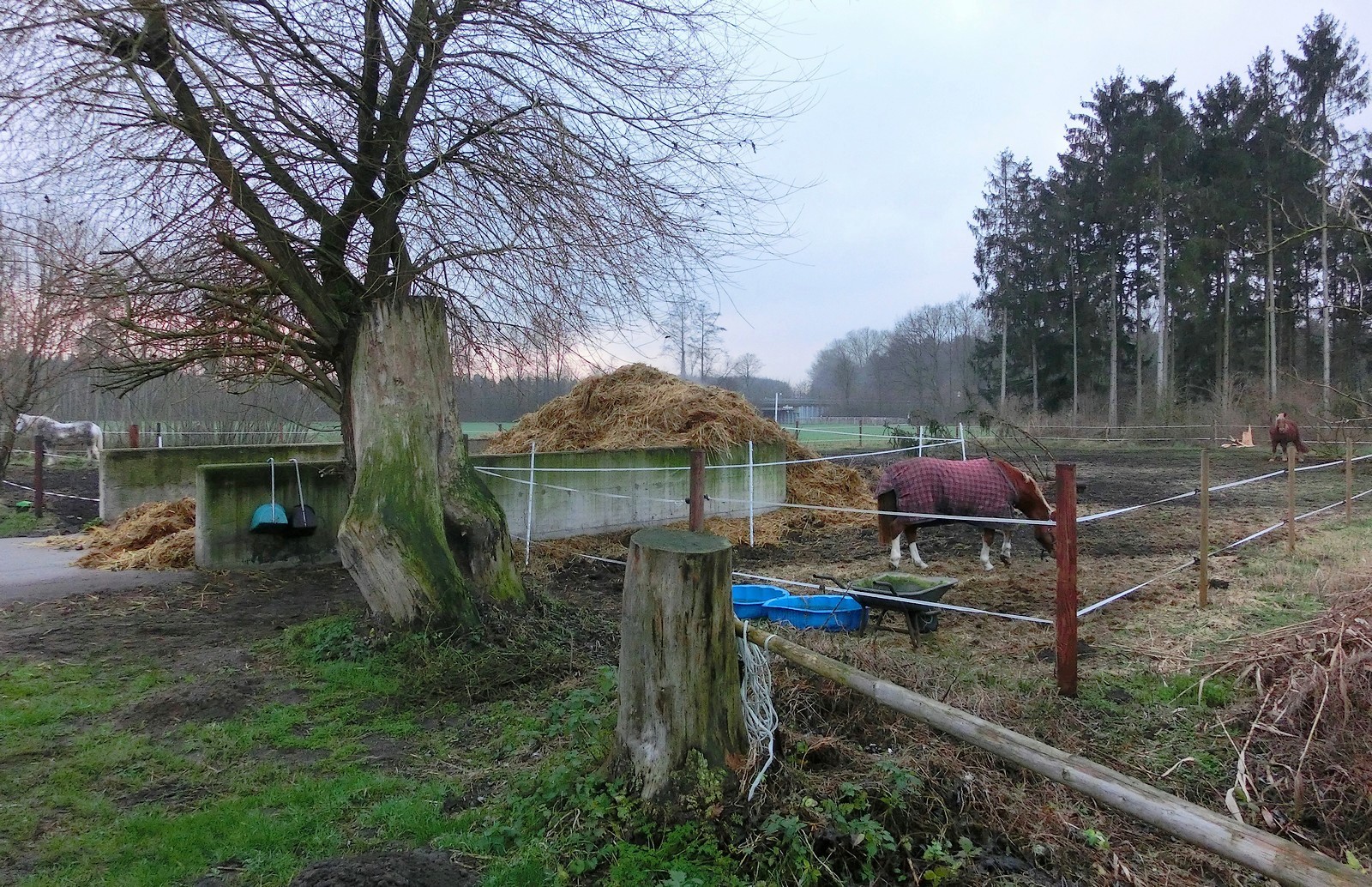 Winterliche Szene auf dem Lande