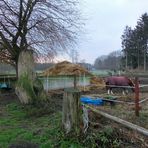 Winterliche Szene auf dem Lande