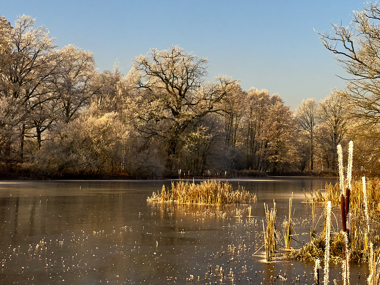 winterliche Teichlandschaft 