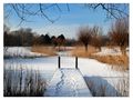 Winterliche Teichlandschaft von Digitalist 