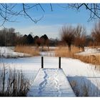 Winterliche Teichlandschaft
