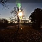 Winterliche Träume an der Eiswiese Göttingen