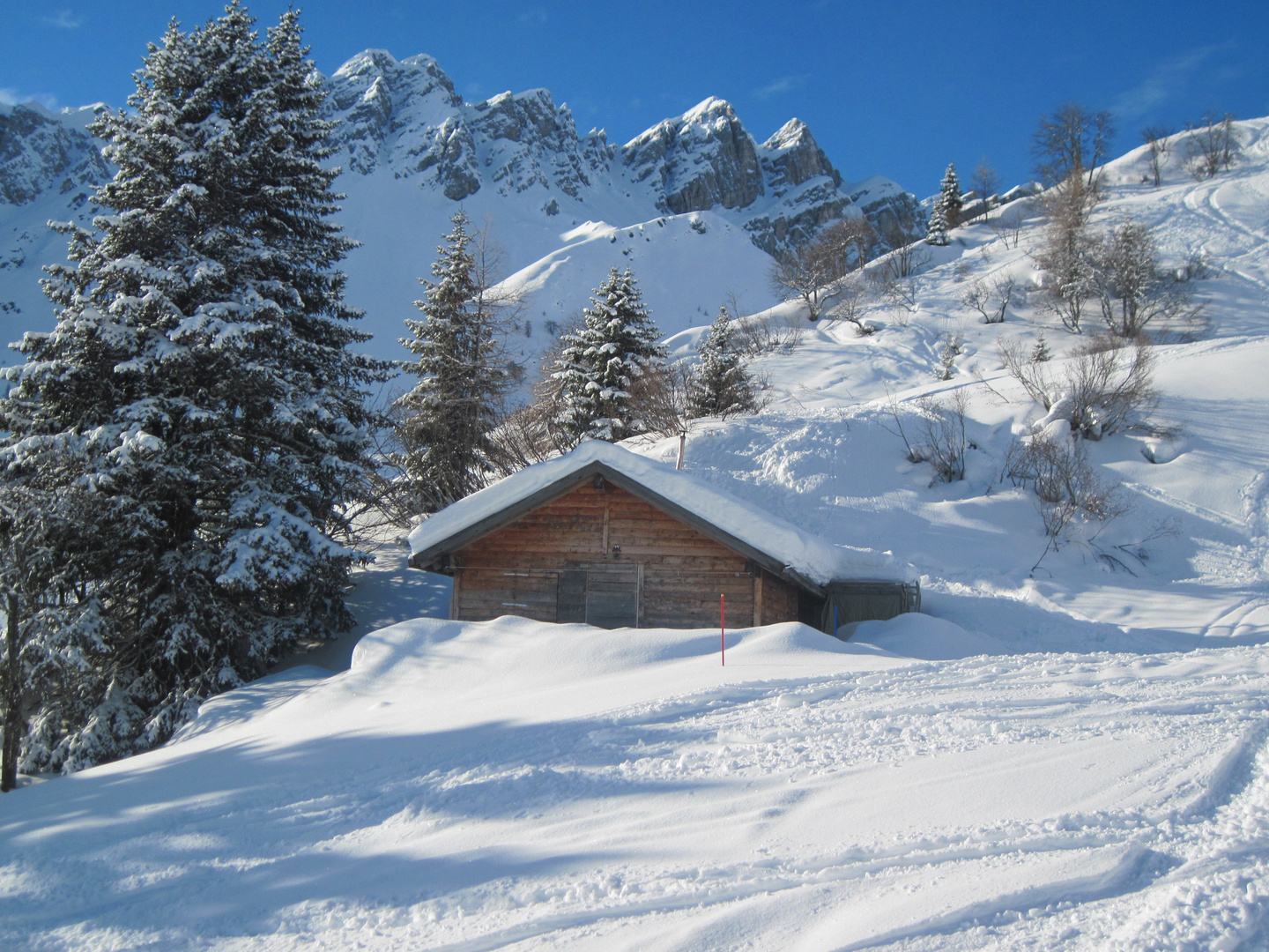 Winterliche Träumerei