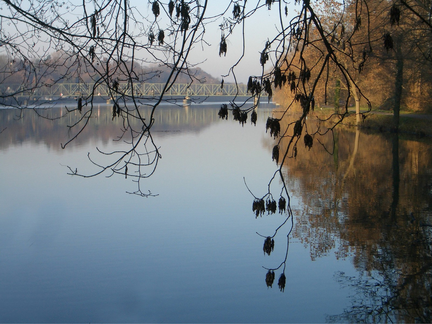 Winterliche Tristesse am See 