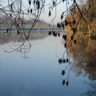 Winterliche Tristesse am See 