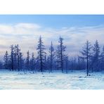 Winterliche Tundra / Tundra in Winter