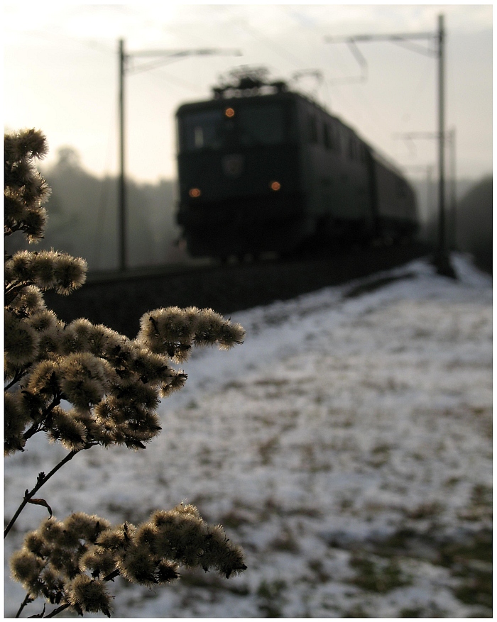 Winterliche Unschärfe