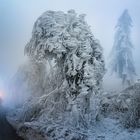 Winterliche Verkehrslage am Jauerling