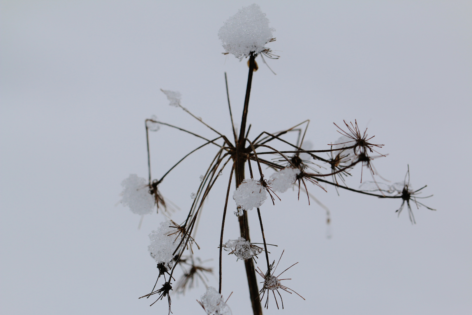 Winterliche Verzierungen...