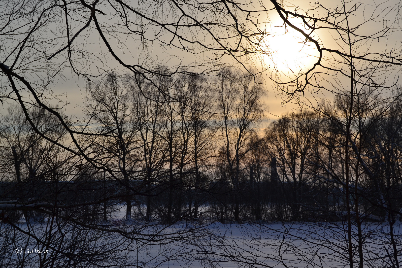 Winterliche Waldlichtung in Abendstimmung...