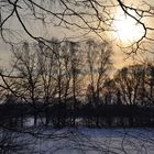 Winterliche Waldlichtung in Abendstimmung...