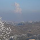 Winterliche Warmluftwolke über dem Atomkraftwerk Neckarwestheim
