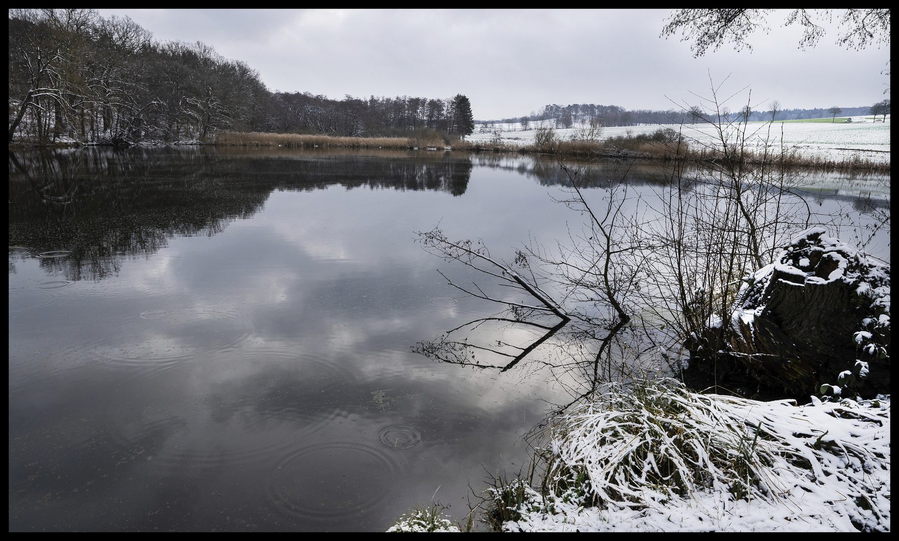 Winterliche Wasserspiegelung am Baumstumpf