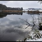 Winterliche Wasserspiegelung am Baumstumpf