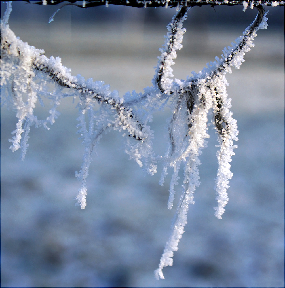 Winterliche Weidezaun - Deko II