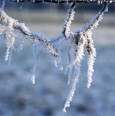 Winterliche Weidezaun - Deko II