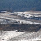 Winterliche Weinberge