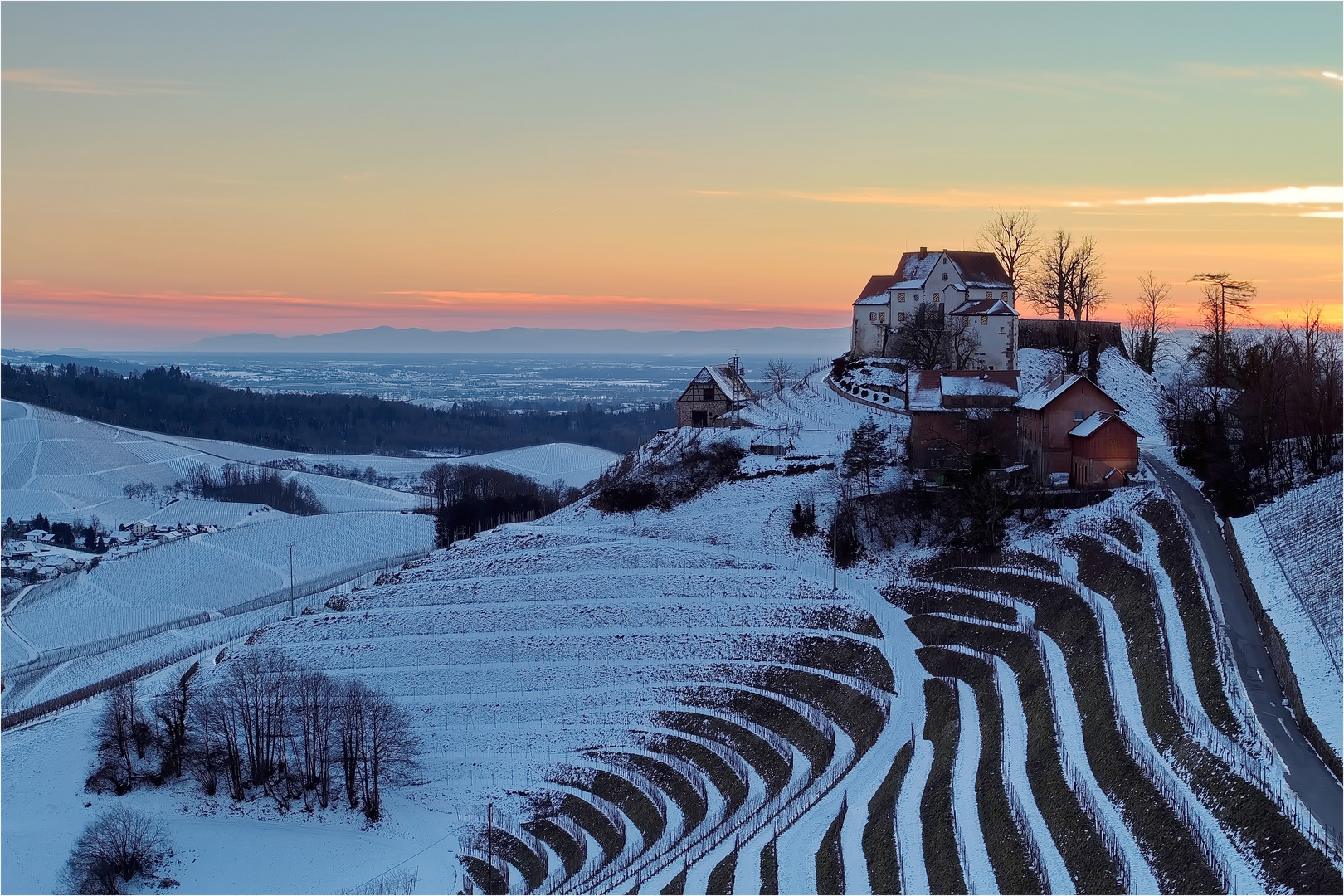 Winterliche Weinbergromantik...